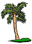palmtree8.gif (7263 bytes)
